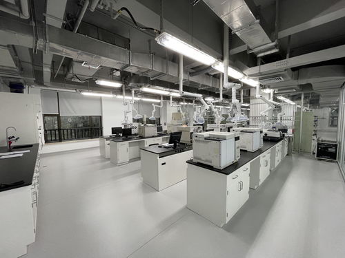 向地球深部進軍 山東能源集團深部煤炭數(shù)智化高效開采成套技術(shù)與工程應(yīng)用引領(lǐng)煤炭工業(yè)高質(zhì)量發(fā)展