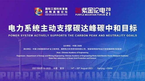 2021國際工程科技發展戰略高端論壇暨第六屆紫金論電國際學術研討會召開