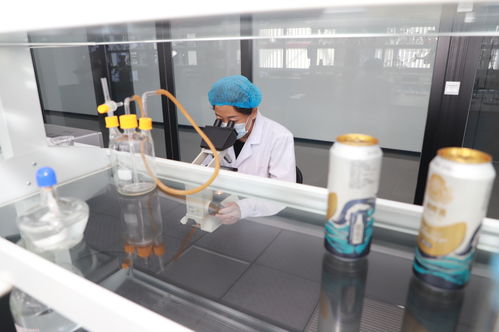 衡水市高新區(qū) 為食品產(chǎn)業(yè)高質(zhì)量發(fā)展添能蓄勢鳳凰網(wǎng)河北 鳳凰網(wǎng)